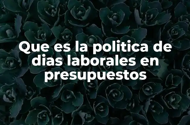 Que es la Politica de Dias Laborales en Presupuestos