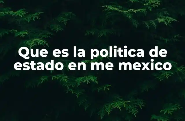 Que es la Politica de Estado en Me Mexico
