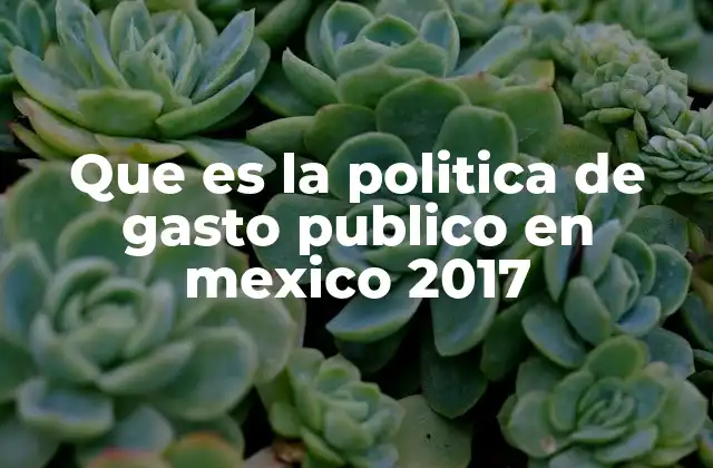 Que es la Politica de Gasto Publico en Mexico 2017