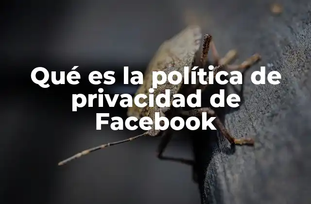 Qué es la Política de Privacidad de Facebook