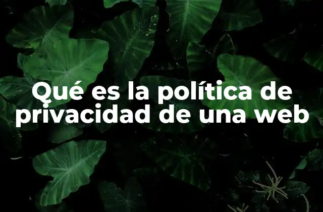 Qué es la Política de Privacidad de una Web