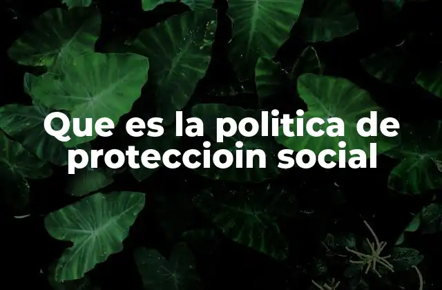 Que es la Politica de Proteccioin Social 2 El papel de las instituciones en la protección social