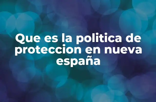 Que es la Politica de Proteccion en Nueva España