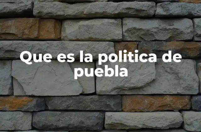 Que es la Politica de Puebla