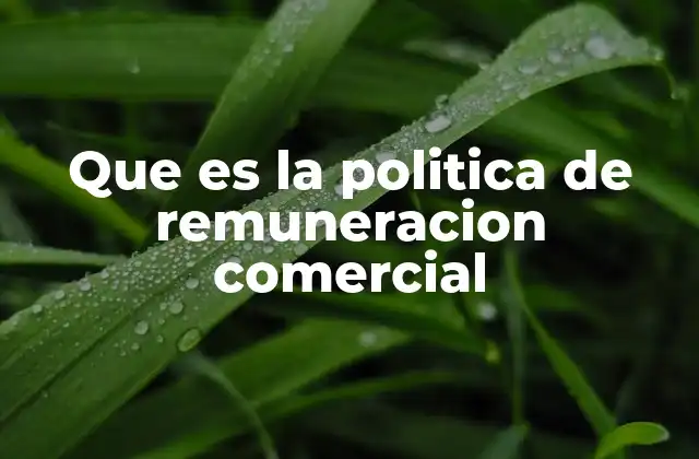 Que es la Politica de Remuneracion Comercial 2 Cómo las empresas estructuran la compensación de sus equipos de ventas