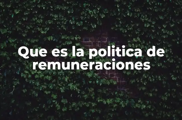 Que es la Politica de Remuneraciones