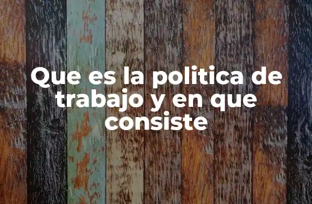 Que es la Politica de Trabajo y en que Consiste