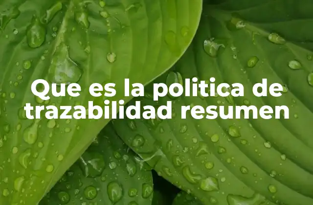 Que es la Politica de Trazabilidad Resumen