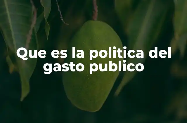 Que es la Politica Del Gasto Publico