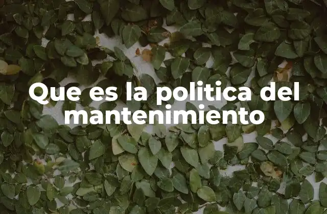 Que es la Politica Del Mantenimiento
