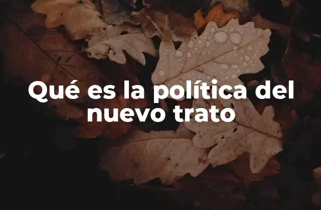 Qué es la Política Del Nuevo Trato