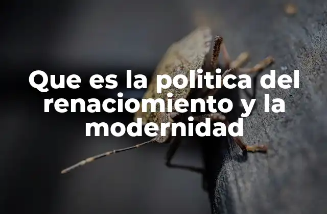 Que es la Politica Del Renaciomiento y la Modernidad