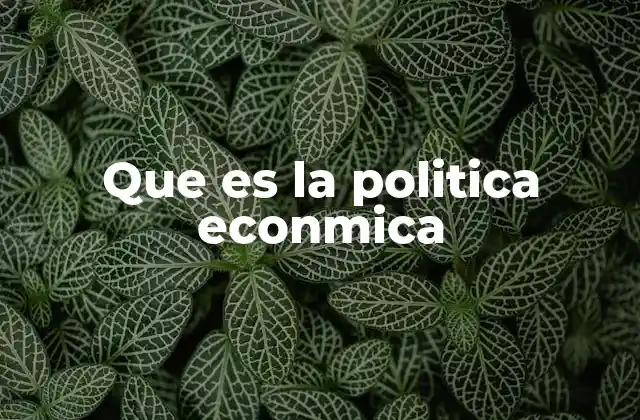 Que es la Politica Econmica