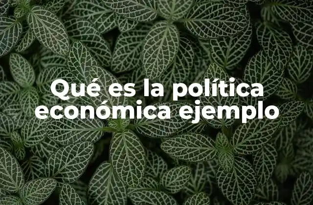 Qué es la Política Económica Ejemplo 2 Cómo influyen las decisiones gubernamentales en la economía