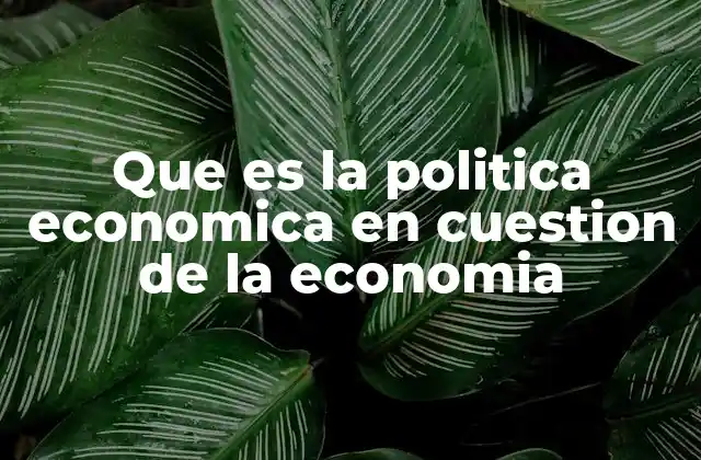 Que es la Politica Economica en Cuestion de la Economia