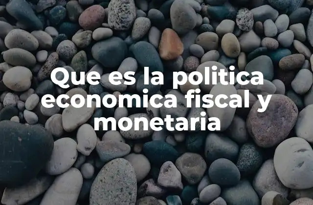 Que es la Politica Economica Fiscal y Monetaria