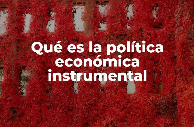 Qué es la Política Económica Instrumental