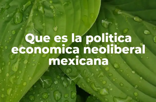 Que es la Politica Economica Neoliberal Mexicana