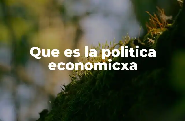 Que es la Politica Economicxa