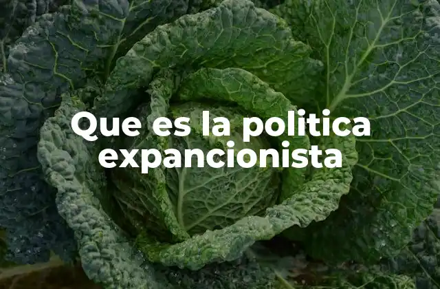 Que es la Politica Expancionista