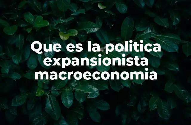 Que es la Politica Expansionista Macroeconomia