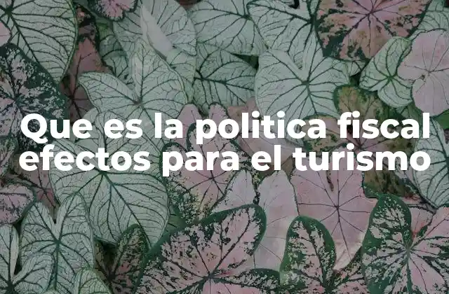 Que es la Politica Fiscal Efectos para el Turismo
