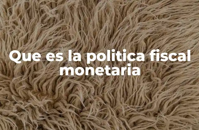 Que es la Politica Fiscal Monetaria