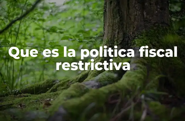Que es la Politica Fiscal Restrictiva