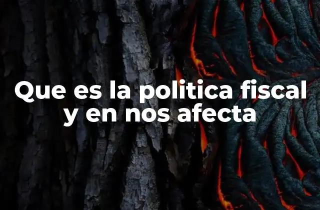 Que es la Politica Fiscal y en Nos Afecta