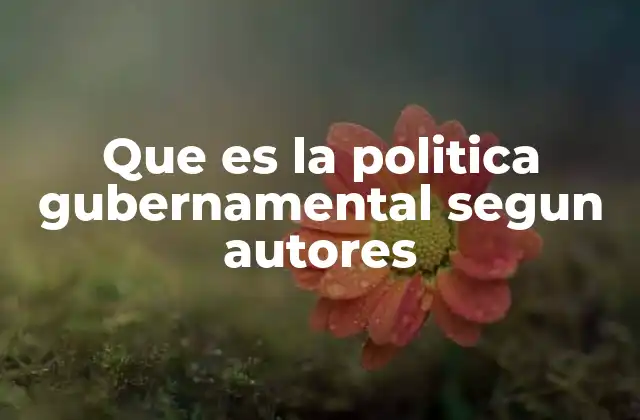 Que es la Politica Gubernamental Segun Autores