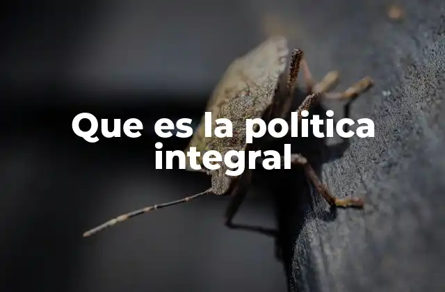 Que es la Politica Integral