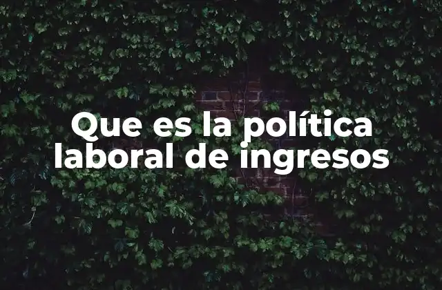 Que es la Política Laboral de Ingresos