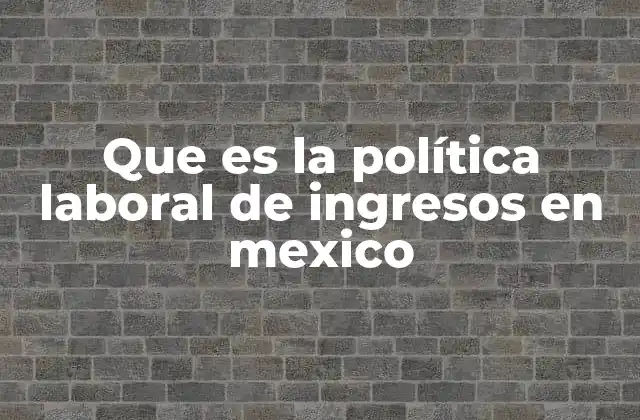Que es la Política Laboral de Ingresos en Mexico