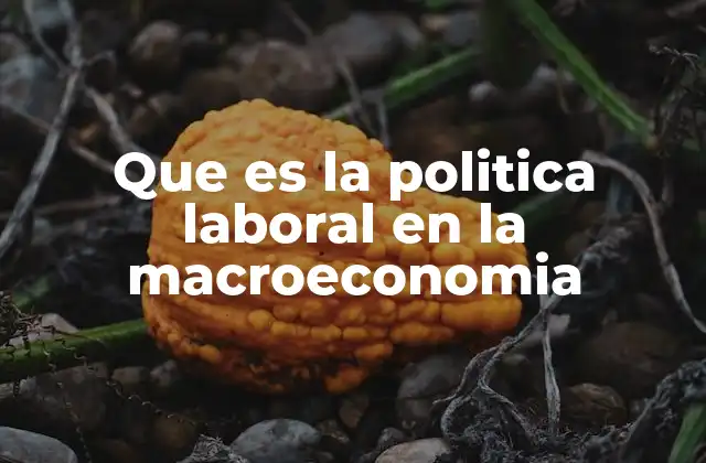 Que es la Politica Laboral en la Macroeconomia