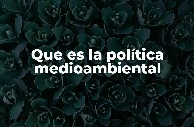 Que es la Política Medioambiental