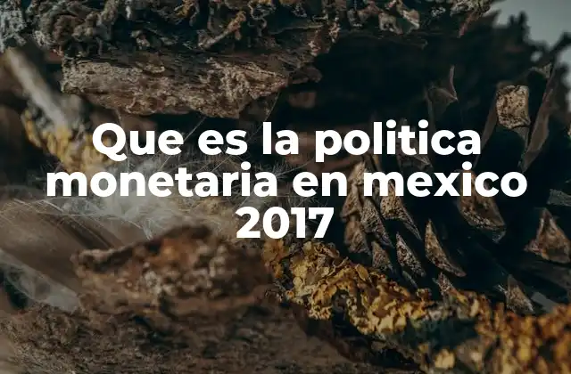 Que es la Politica Monetaria en Mexico 2017