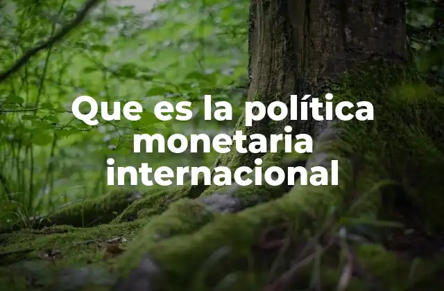 Que es la Política Monetaria Internacional