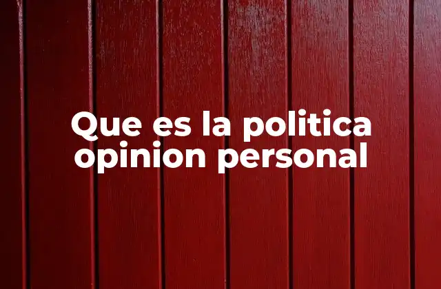 Que es la Politica Opinion Personal
