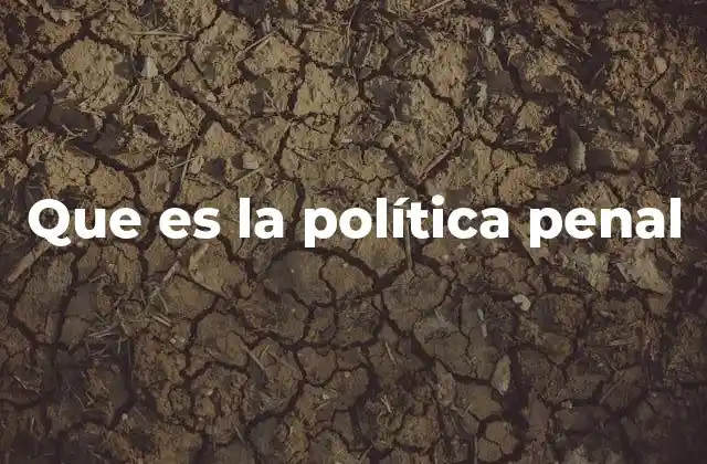 Que es la Política Penal