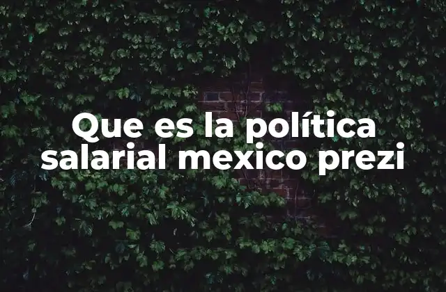 Que es la Política Salarial Mexico Prezi
