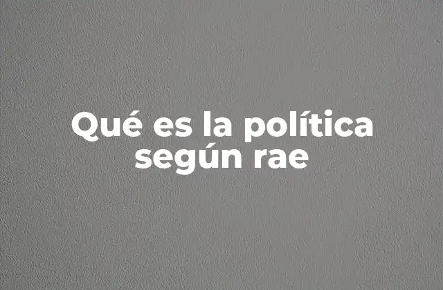 Qué es la Política según Rae