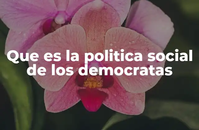 Que es la Politica Social de los Democratas