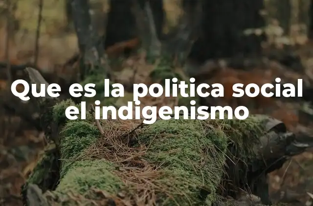 Que es la Politica Social el Indigenismo