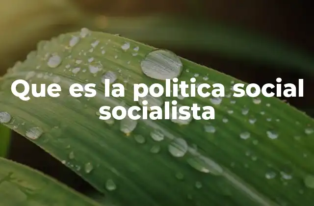 Que es la Politica Social Socialista