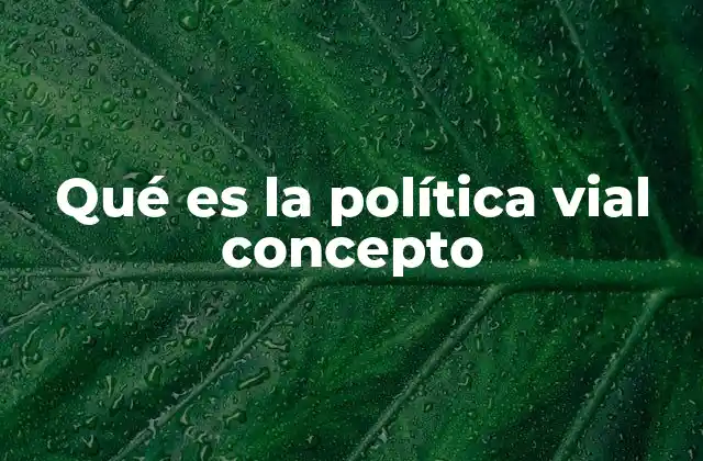 Qué es la Política Vial Concepto
