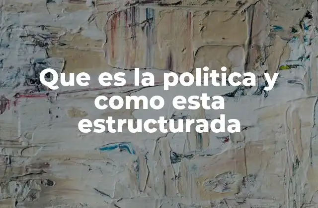 Que es la Politica y como Esta Estructurada