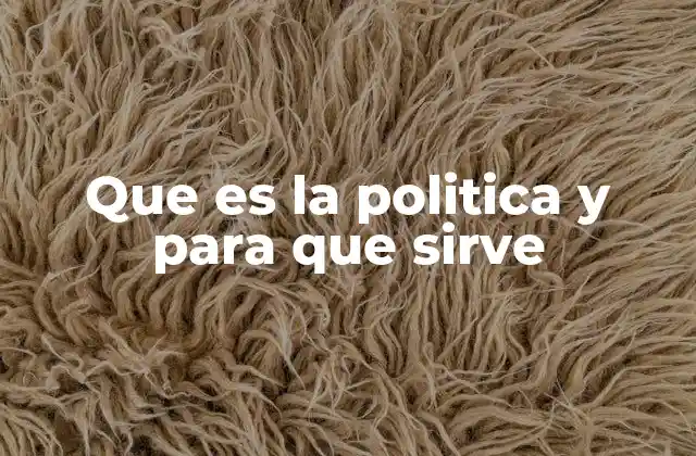 Que es la Politica y para que Sirve