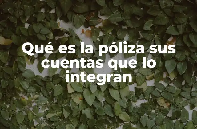 Qué es la Póliza Sus Cuentas que Lo Integran