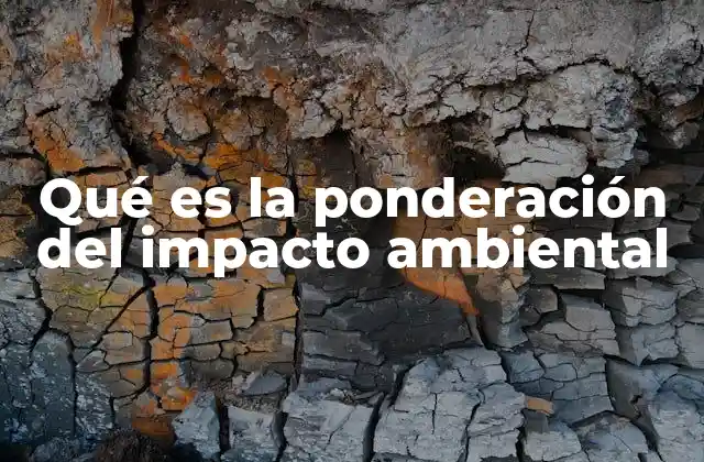 Qué es la Ponderación Del Impacto Ambiental 2 Cómo se relaciona el análisis ambiental con la toma de decisiones