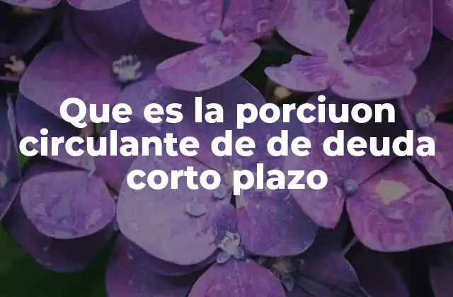 Que es la Porciuon Circulante de de Deuda Corto Plazo